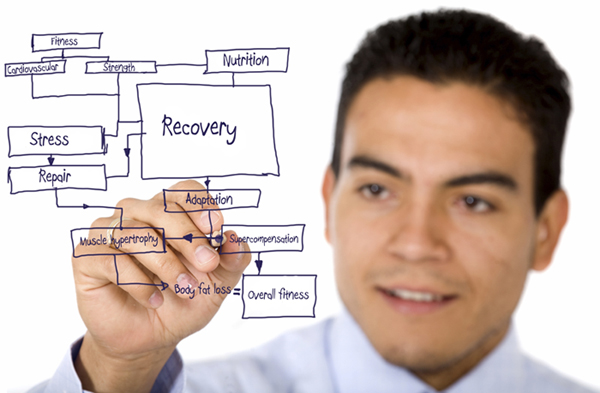  The Cycle of Health - Nutrition - Fitness 